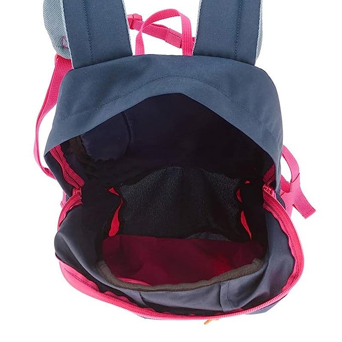 Quechua 20 Liters Backpack ARP 20 (Purple/Grey) - Image 3