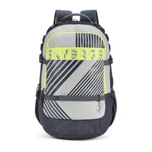 Skybags Unisex Grey Gucci Fabric  Laptop Bags LPBPCXLEGRY